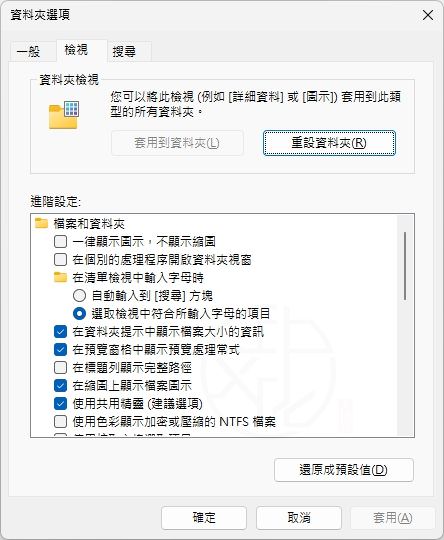 Open Folder Options in Windows 11