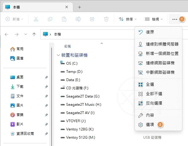 Open Folder Options in Windows 11
